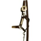 Show Halter with bicoloured fittings