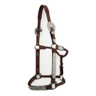 Show Halter brown with silver fitting