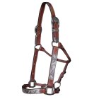 Show Halter with silver fitting